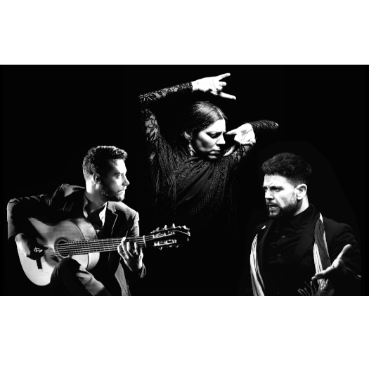 Daniel Martinez Flamenco Company present Art of&nbsp;Andalucia.